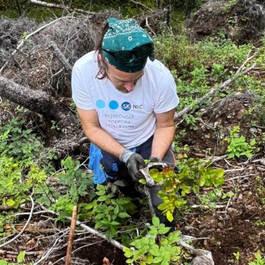 SK-NIC: Rok 2023 bol rokom rastu a rozvoja 19 SK NIC stromceky 2023 2