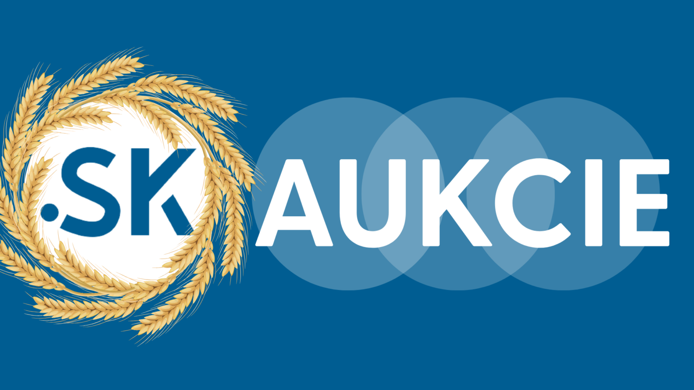 ilustracny-obrazok-aukcie-sk-nic-09-2026