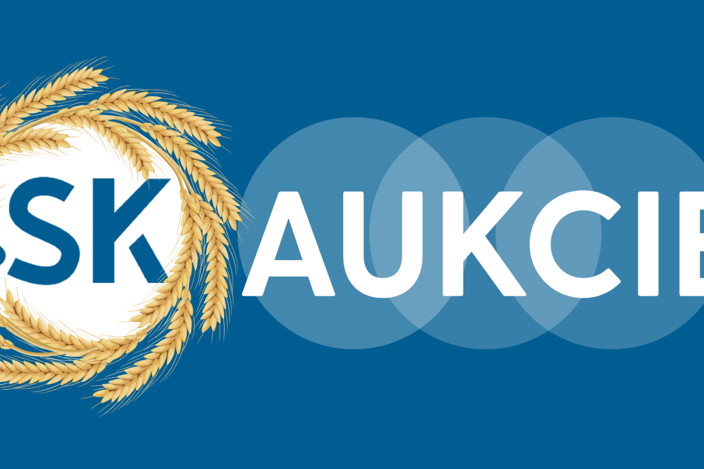 ilustracny-obrazok-aukcie-sk-nic-09-2026